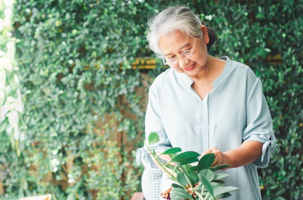 Elderly asian woman gardening